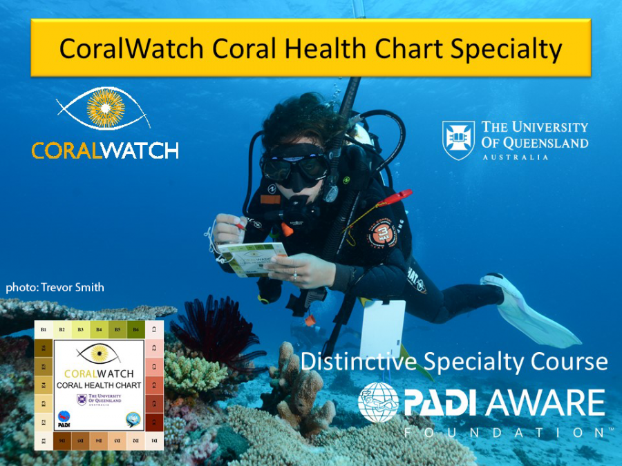 CoralWatch PADI Coral Health Chart Distinctive Specialty