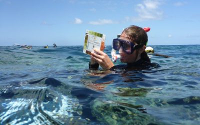 20 years of citizen science backs up findings on coral bleaching