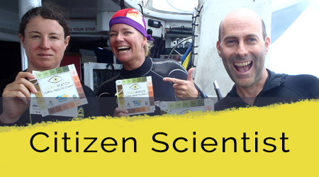 citizen-scientist-home