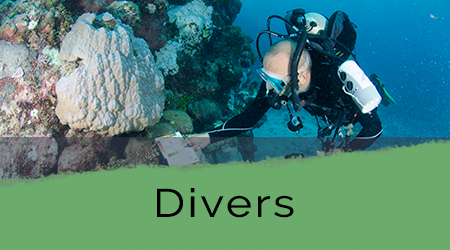 divers-home