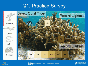 virtual-survey-for-specialty-300x225