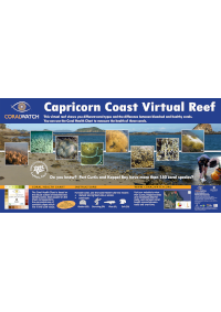 2019_small_virtual-transect-Capricorn