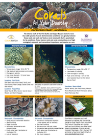 Central-Qld-coral-guide