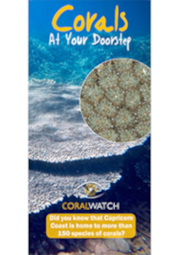 corals-CCoast